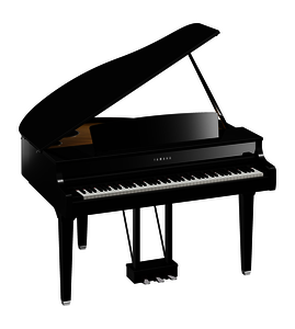 YAMAHA Digitalpiano CLP-895 GP PE - Premium Modell