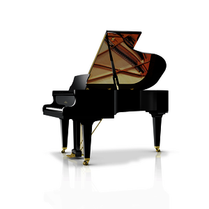 SCHIMMEL Flügel C 189 Tradition schwarz poliert