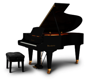 Bösendorfer Grand Piano 200