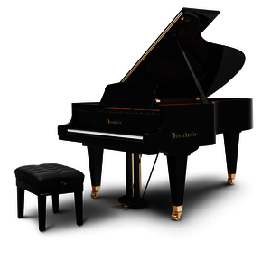 Bösendorfer Grand Piano 214VC - Gestellungsinstrument 2023