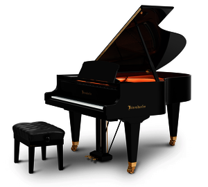 Bösendorfer Grand Piano 185 VC Disklavier Edition