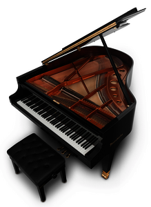 Bösendorfer Grand Piano 170 VC Silent Edition
