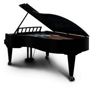 Bösendorfer Concert Grand 230VC Performance