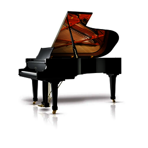 SCHIMMEL Flügel C 213 Tradition schwarz poliert