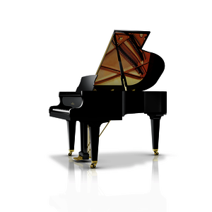 SCHIMMEL Flügel C 169 Tradition schwarz poliert