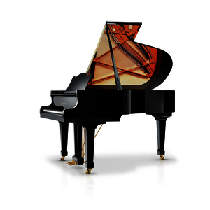 SCHIMMEL Flügel W 180 Tradition schwarz poliert